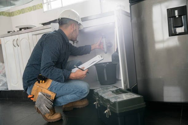 Best Plumbing Services Near Me  in La Crescent, MN