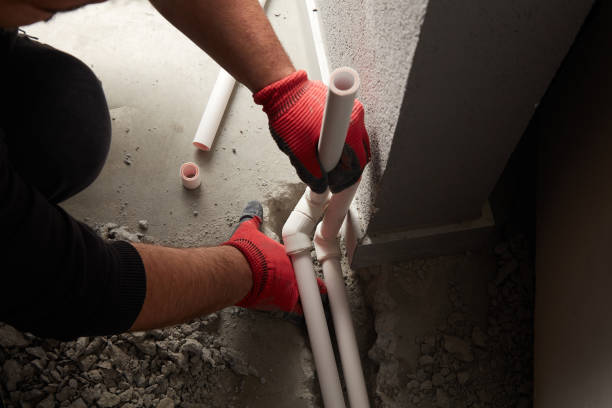 Best Plumbing Repair Near Me  in La Crescent, MN