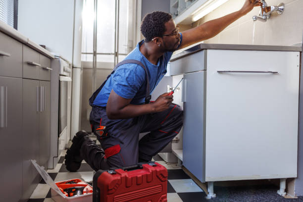 Best 24-Hour Plumber Near Me  in La Crescent, MN