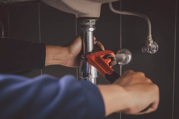 Best Leak Detection Services  in La Crescent, MN